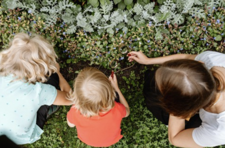 Kolorowe zdjęcie współczesne. Przedstawia trojkę dzieci, które pochylają się nad roślinami. Dziewczynka i mały chłopiec trzymają w rękach lupy i oglądają liście. 